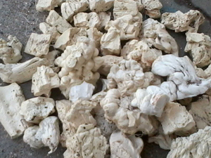 Polyester Oligomer