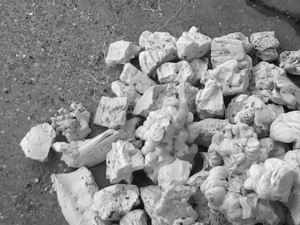 Polyester Oligomer